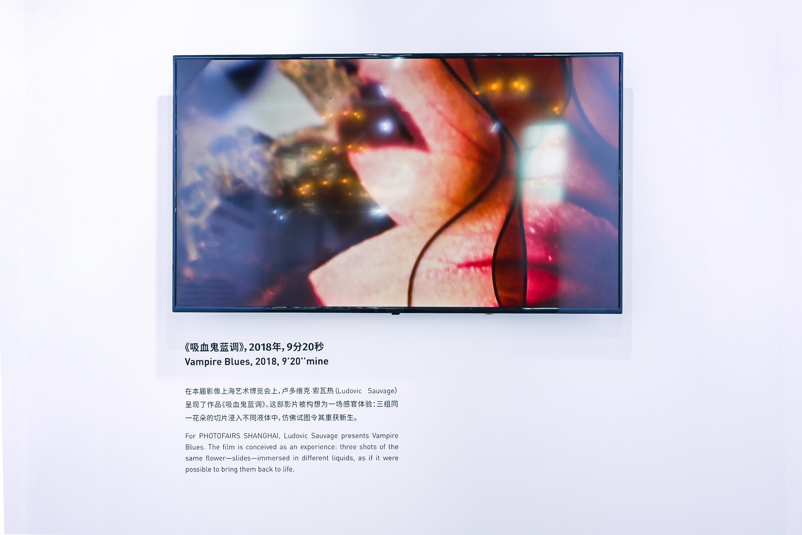 WANG3297 (1)